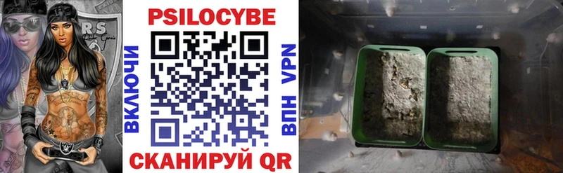 МЕГА ссылки  Задонск  Галлюциногенные грибы Psilocybe 